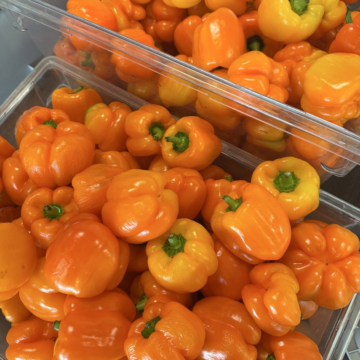 Martha's Kitchen tweet media