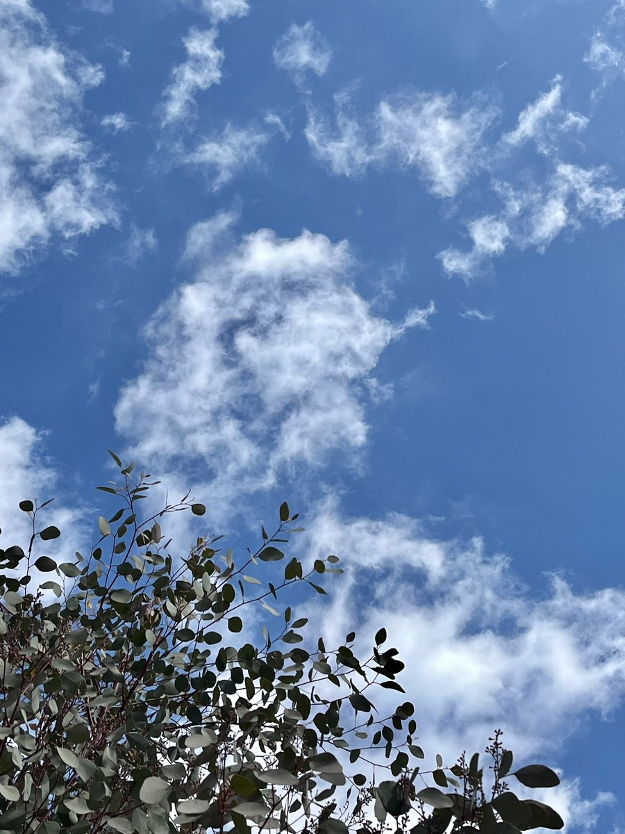 おはようございます😊
春分の日の今日、大船の今のお天気は⛅️今日は昼と夜の時間がちょうど？同じになる日だそうです👂
だんだん昼が長くなってくるのは嬉しいな🙋

今日は映画プレゼン大会で観たい映画最高票を得た「ゴジラ1.0」上映会🎦

#企業公式が地元の天気を言い合う 
#企業公式相互フォロー