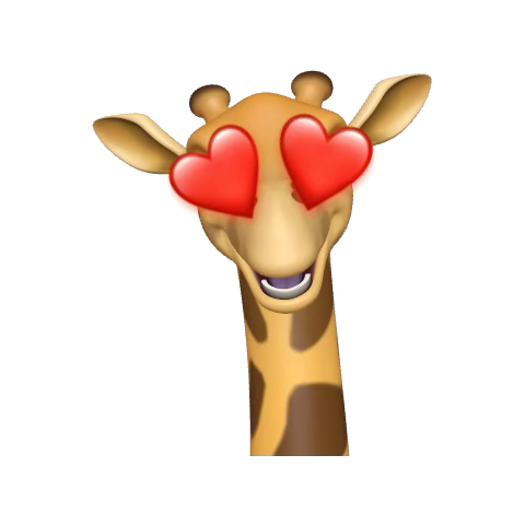 MATTHEW WEBB tweet media