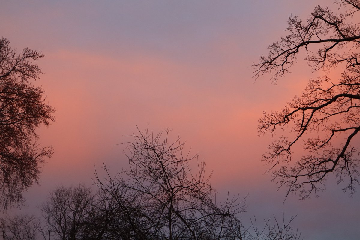 _Syosuzuki0609_'s tweet photo. #Fuutography
I took some pictures of todays sunset !
I really enjoyed taking pictures today! UwU https://t.co/NK15X4zooc