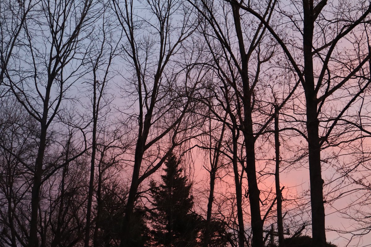 _Syosuzuki0609_'s tweet photo. #Fuutography
I took some pictures of todays sunset !
I really enjoyed taking pictures today! UwU https://t.co/NK15X4zooc