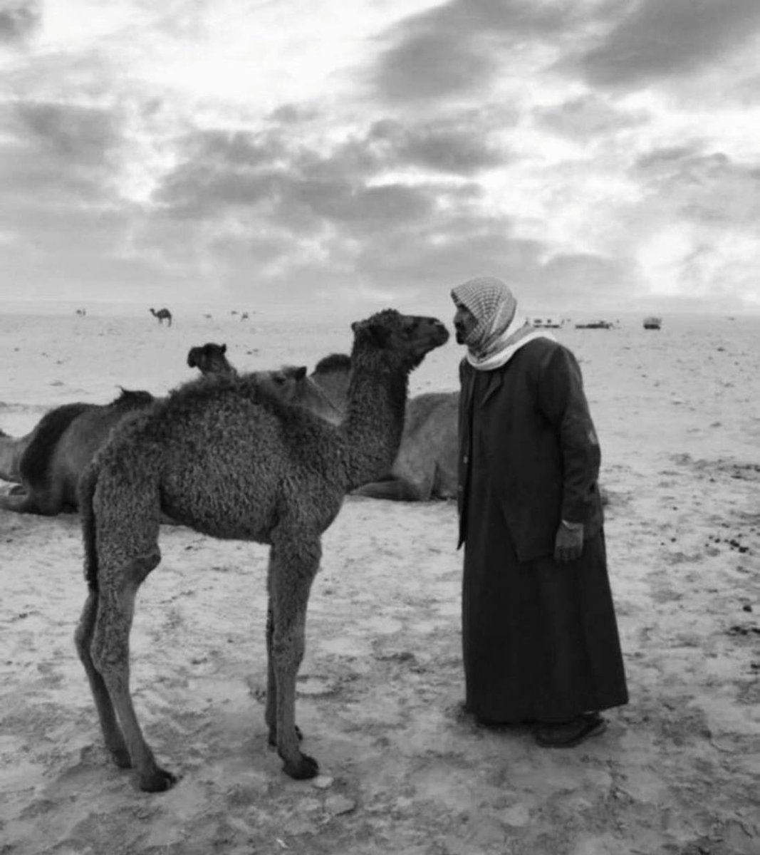 wwwwewwwe0's tweet image. 