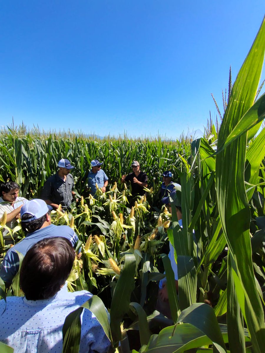 AGD TUCUMÁN tweet media