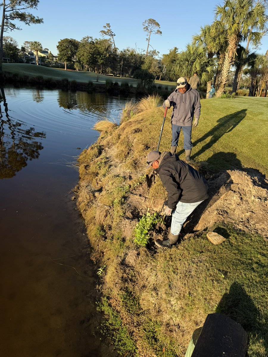 Marsh Management Systems tweet media