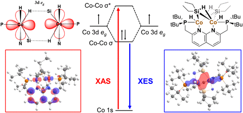 bhkenlo's tweet photo. X-ray Spectroscopy Characterization of Electronic Structure and Metal–Metal Bonding in Dicobalt Complexes | Inorganic Chemistry https://t.co/wtpEKeiKOE Sarangi and co-workers @InorgChem #cobalt #Co2 #XAS #XES #MMbonds https://t.co/ySu8w0r4LC