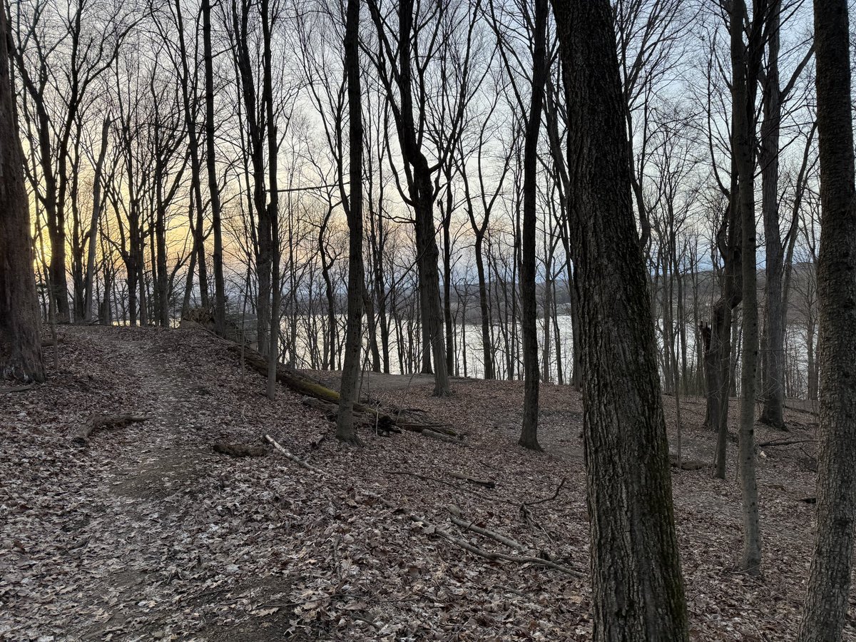remthompsonRTMS's tweet photo. First mountain bike ride actually on mountain bike trails. Shaky and nervous yes, exhausted, yes, but it was a blast! https://t.co/G0uioVxf8A