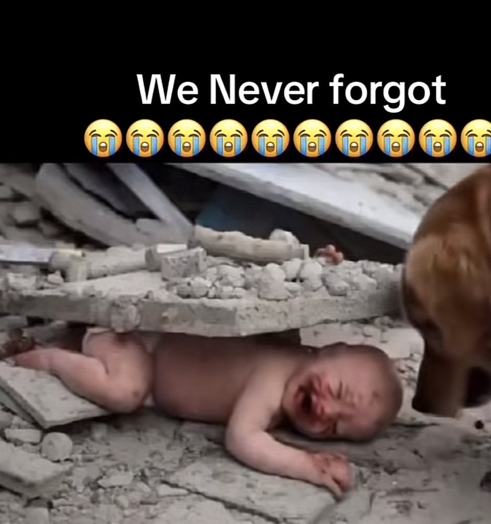 گوشه از ظلم ترورست های جهانی💔🥲که مور ترورست گفتن در دست دارند،نطام امارت اسلامی از خود یک قدرت پشرفته بسازد،تا کودکان ما اینطور نشود🥲💔از دست ما صرف دست بلند کردن به دربار ایزد یکتا است. 🥲💔