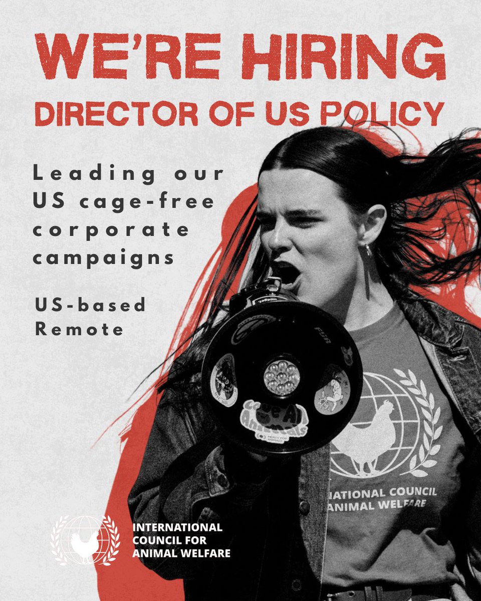 icaw_org's tweet photo. We are hiring a Director of US Policy to join our small but mighty team focused on winning corporate animal welfare policies.

If you or someone you know has experience with campaigning, you might be a good fit for this role!

Learn more and apply here 👇
https://t.co/facHV5NptL https://t.co/8Yf5IQZAZW