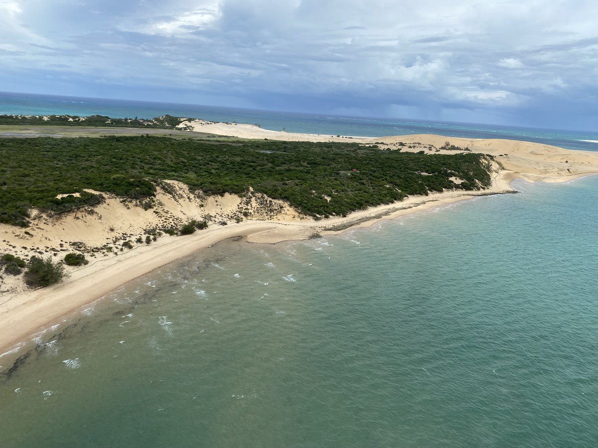 Mission Blue hosted a two-day workshop in Mozambique, bringing together Hope Spot Champions and partners to foster collaboration, new partnerships, and the exchange of knowledge, best practices, and innovative conservation strategies!

📸 Shannon Rake