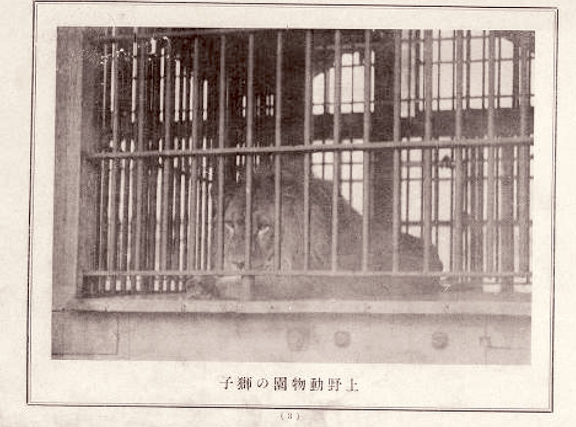 1882年（明治15年）3月20日、日本初の動物園、上野動物園が開園しました。

当時はウィーン万国博覧会への出品を集めた博物館の付属施設としてオープンし、展示される動物は国内の動物に限られいたようです。

のちに宮内省の所管となり、外国産の動物が集められるようになりました。