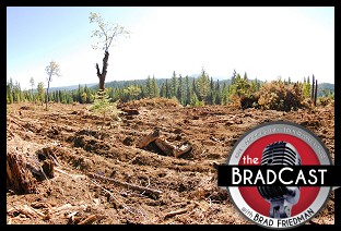 Brad Friedman (🟦) (@thebradblog) on Twitter photo What Trump's 'Immediate Expansion of Timber Production' Really Means (and Costs): Latest #BradCast
Guest: Climate Analyst <a href="/MattSedlar/">MattSedlar</a> of <a href="/ceprdc/">CEPR</a>; Also: 'Gulf of America' Splashdown; More Trump losses; Why giving up isn't an option.
FULL STORY, LISTEN: bradblog.com/?p=15340 What Trump's 'Immediate Expansion of Timber Production' Really Means (and Costs): Latest #BradCast
Guest: Climate Analyst <a href="/MattSedlar/">MattSedlar</a> of <a href="/ceprdc/">CEPR</a>; Also: 'Gulf of America' Splashdown; More Trump losses; Why giving up isn't an option.
FULL STORY, LISTEN: bradblog.com/?p=15340