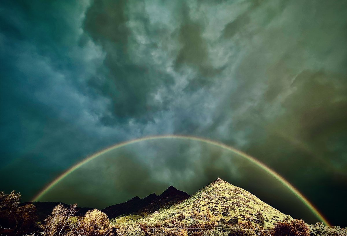 Guillermo Rosas tweet media