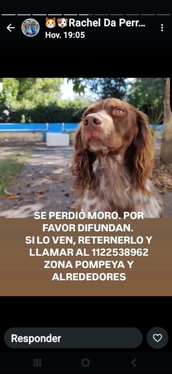 Tabyta201's tweet image. 🚨SE BUSCA URGENTE!!!!