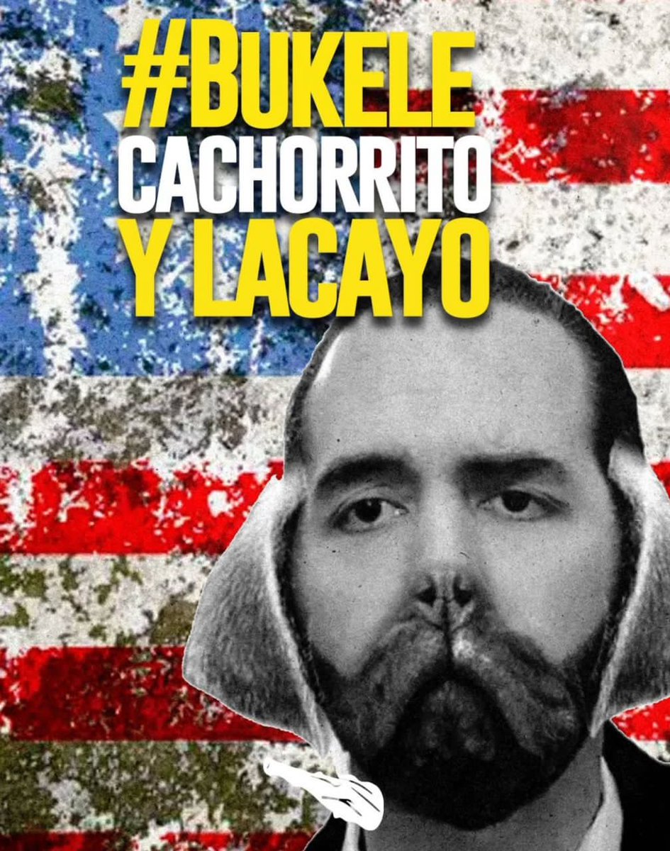 #BukeleCachorritoylacayo