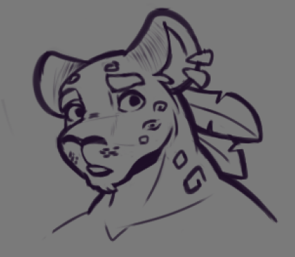 Gato de la localidad (@meowmiaunyah) on Twitter photo 