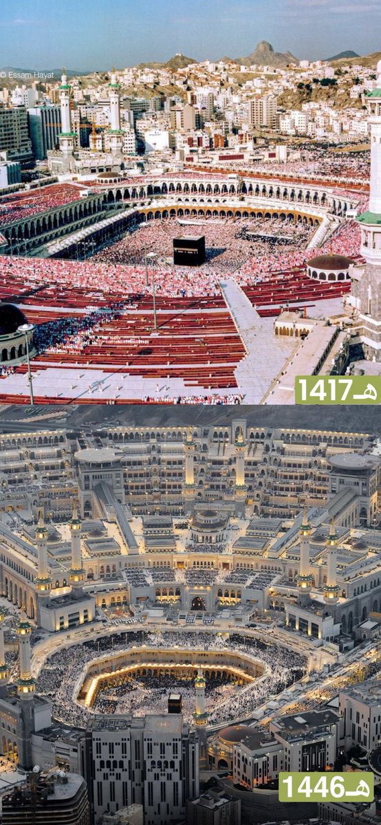 1416.                                           1446.    

..