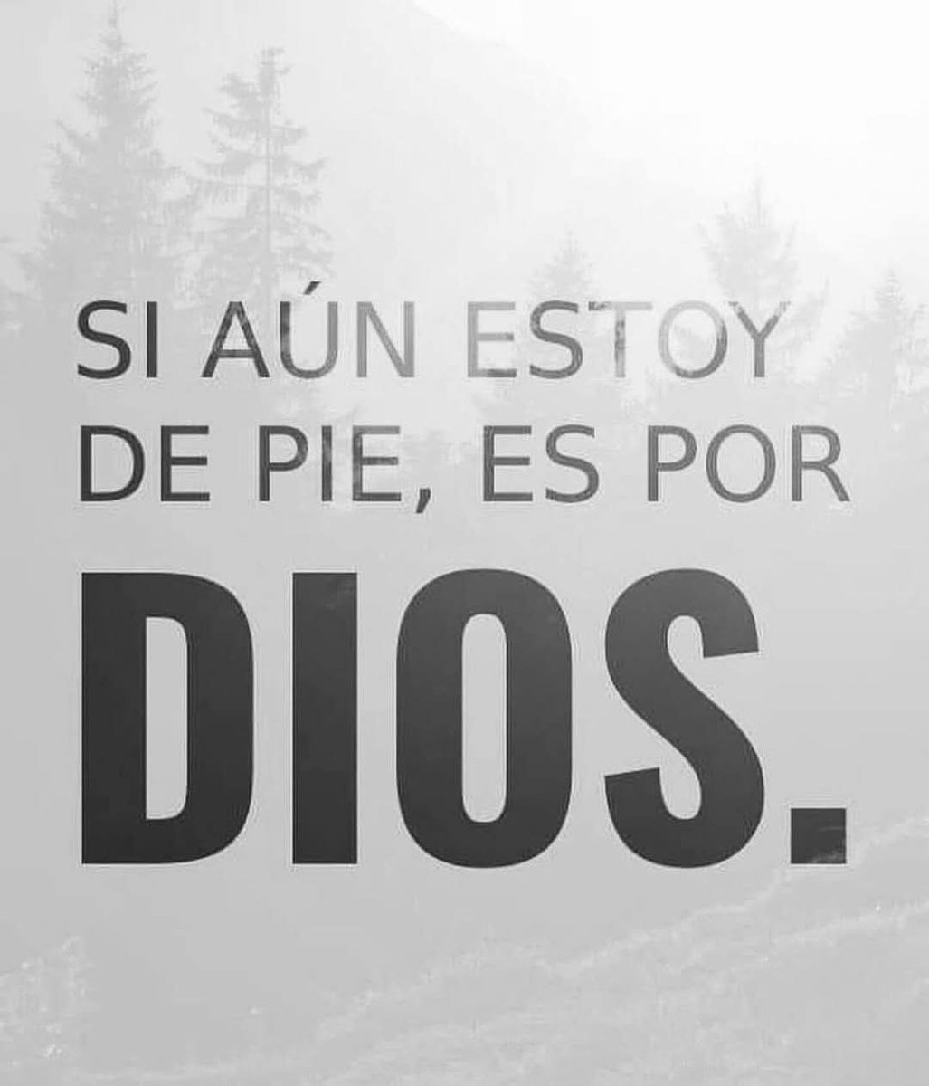 mor_genuino7's tweet photo. https://t.co/c9Pyyv7YkF