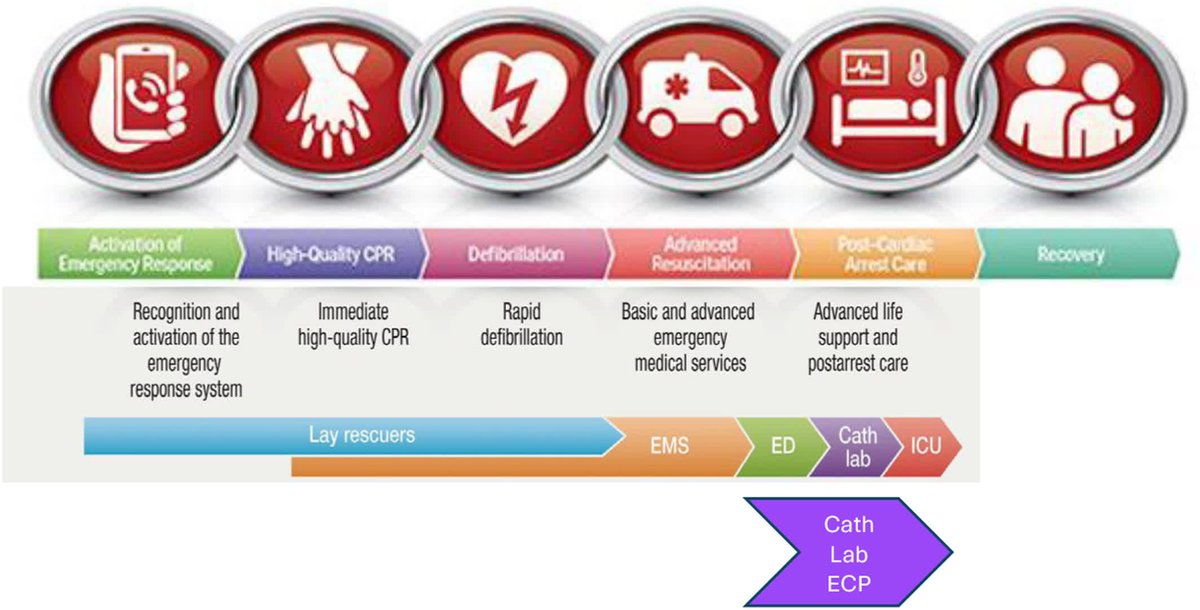 JAHA (@jaha_aha) on Twitter photo ECPR shows promise but needs clarity on optimal patient characteristics and logistics. Read more in this NHLBI workshop report. #AHAJournals #Review <a href="/BetsyHuntMD/">Betsy Hunt</a> <a href="/JoeTonnaMD/">Joseph Tonna</a> <a href="/AudreyBlewer/">Audrey Blewer, PhD, MPH</a> <a href="/DYannopoulos/">Demetris Yannopoulos</a> <a href="/RainaMerchant/">Raina Merchant, MD MSHP FAHA</a> ahajrnls.org/4hotWkf ECPR shows promise but needs clarity on optimal patient characteristics and logistics. Read more in this NHLBI workshop report. #AHAJournals #Review <a href="/BetsyHuntMD/">Betsy Hunt</a> <a href="/JoeTonnaMD/">Joseph Tonna</a> <a href="/AudreyBlewer/">Audrey Blewer, PhD, MPH</a> <a href="/DYannopoulos/">Demetris Yannopoulos</a> <a href="/RainaMerchant/">Raina Merchant, MD MSHP FAHA</a> ahajrnls.org/4hotWkf