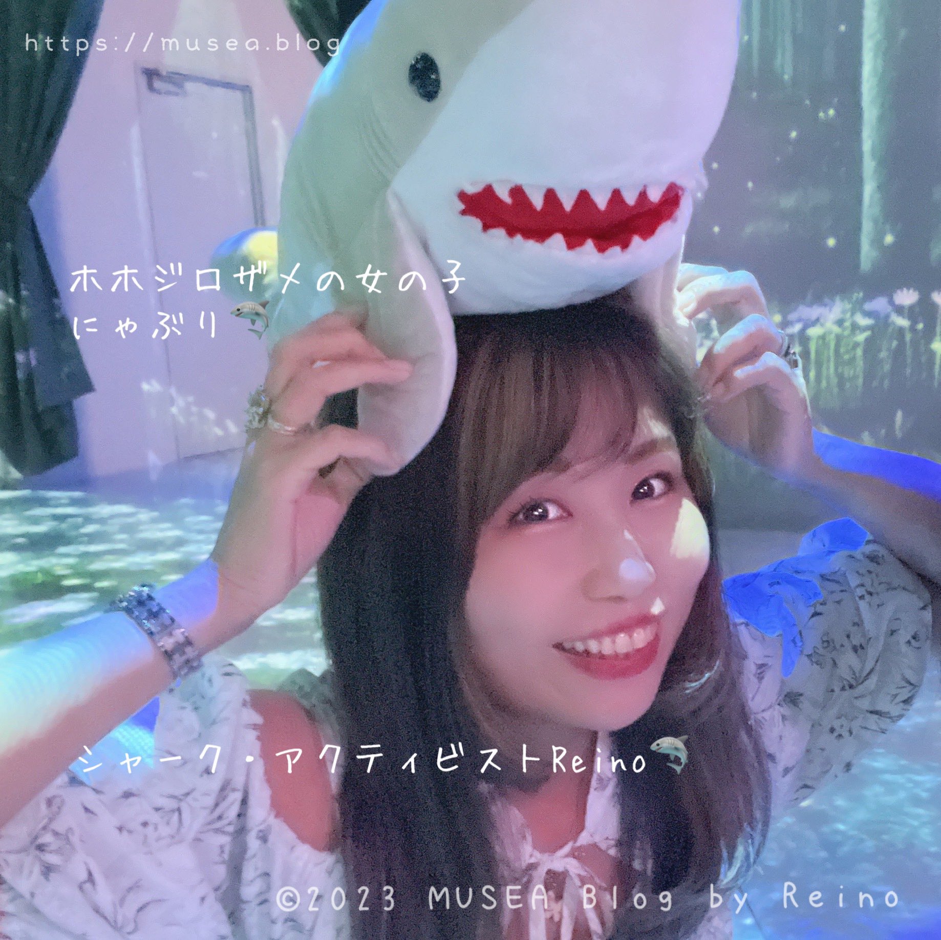 Reino🦈（サメブロガー/YouTuber/シャーク・アクティビスト