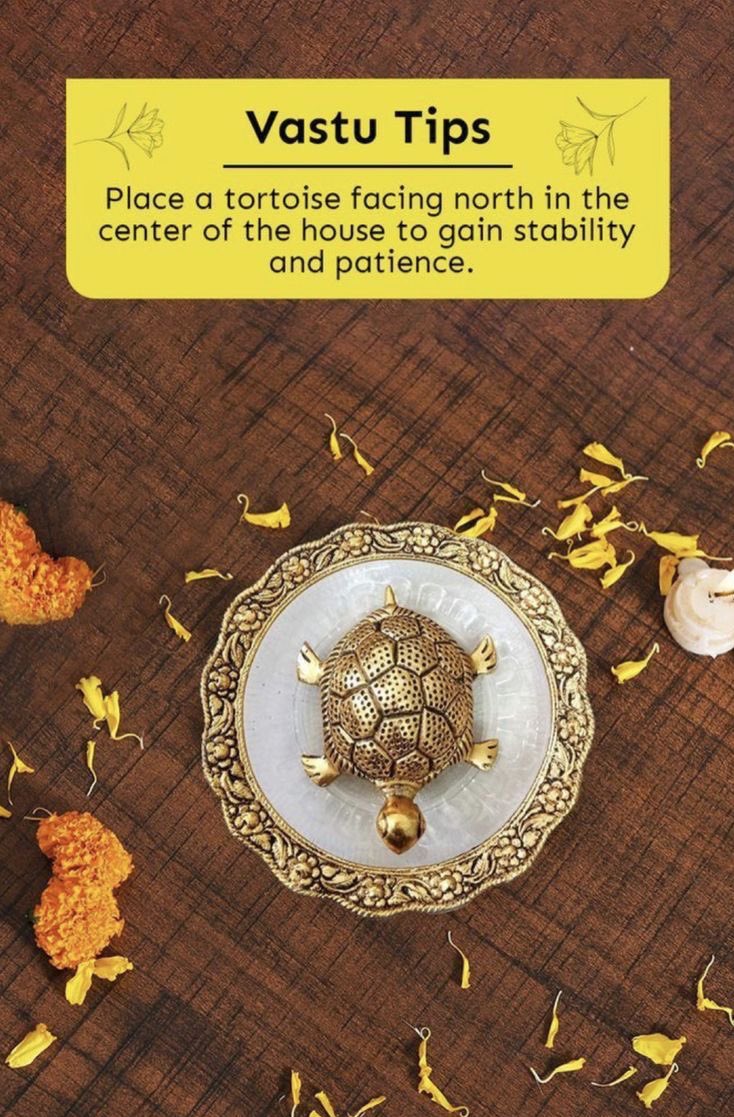 TheEarthSoul1's tweet photo. I’m sharing some vastu tips for your home 🏡🧵

1. https://t.co/c96c3xO6rx