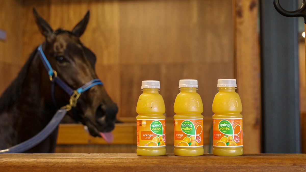 MelbRacingClub's tweet photo. Complimentary breakfast for all this morning 😋

Trials return to Caulfield on 10 April. https://t.co/TEDrP1CXZ1