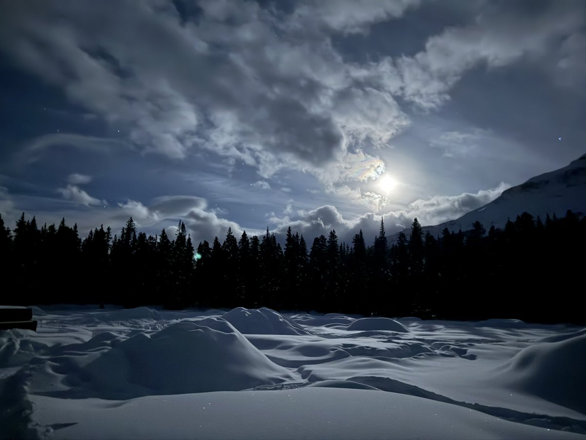 Court Rustemeyer tweet media