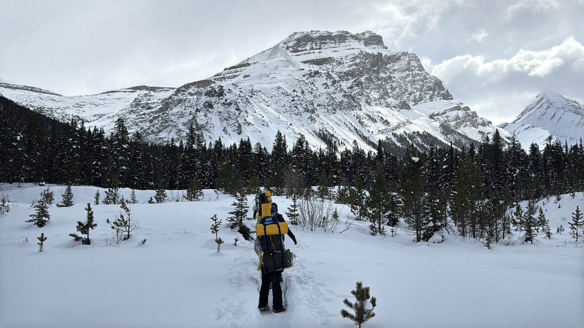 Court Rustemeyer tweet media