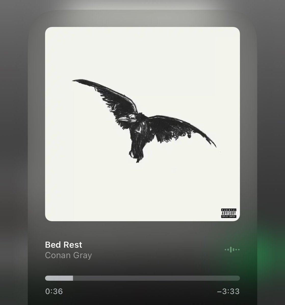 lovconan's tweet image. kid krow acerta todas!