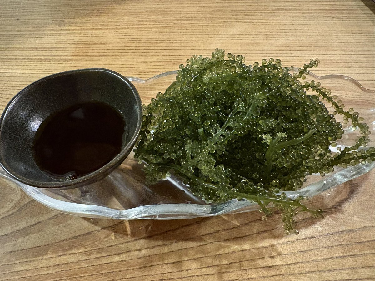 mii000288's tweet image. 海ぶどう食べながら飲みたい気分になってきた〜😭😭w
あの食感クセになるよねww