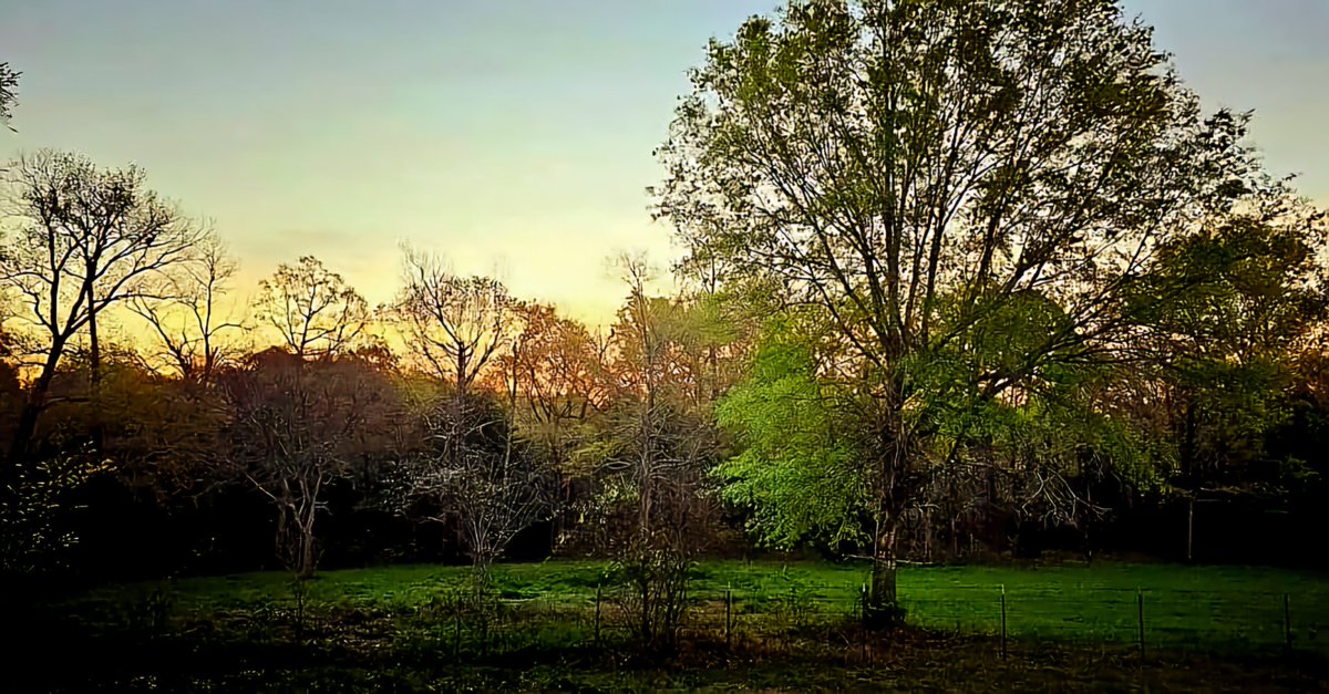 "In the morning, LORD, you hear my voice; in the morning I lay my requests before you and wait expectantly." Psalm 5:3 #waitexpectantly