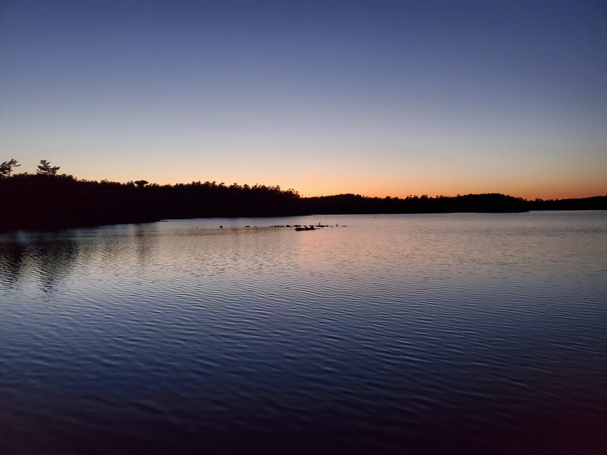 TimMacEachern's tweet image. Rocky Lake this evening.