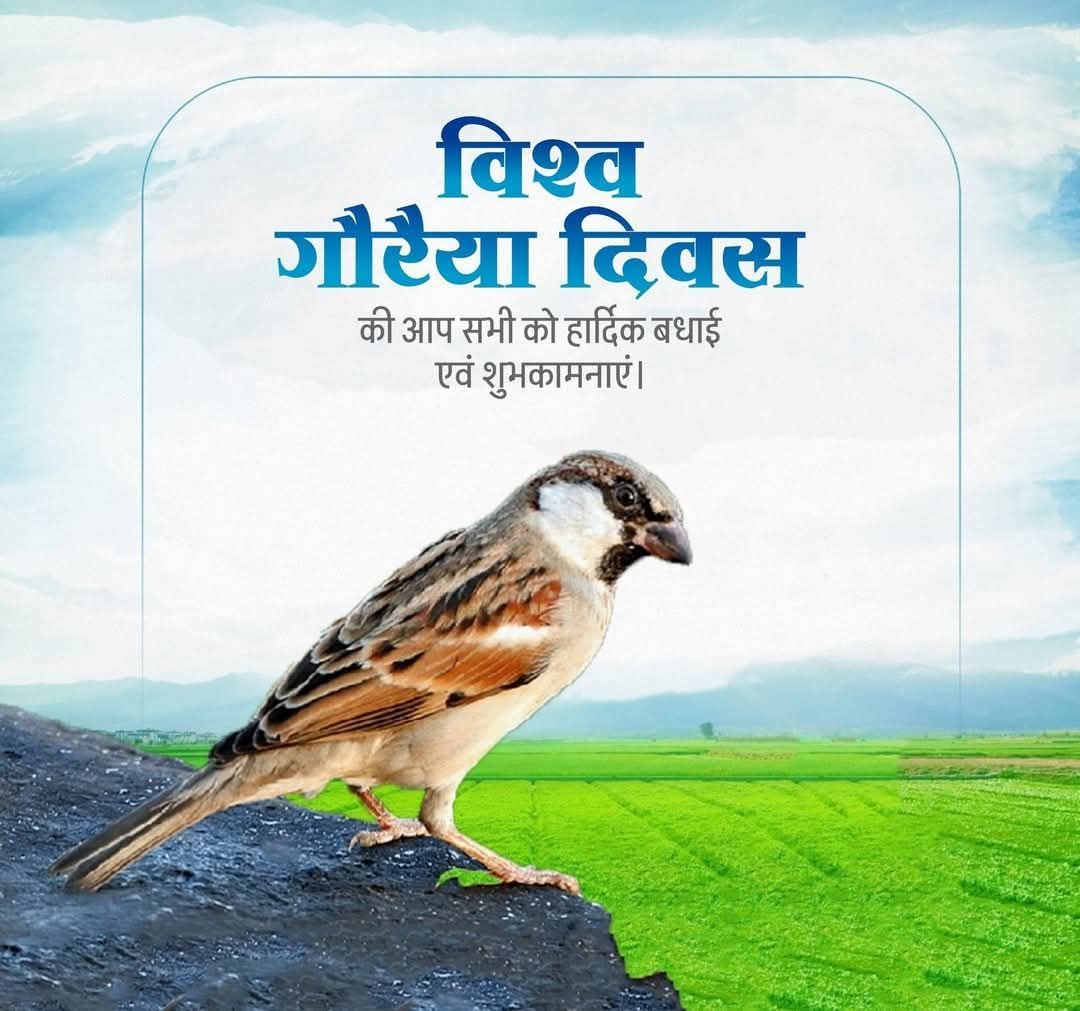 Dranjanisingh01's tweet photo. विश्व गौरैया दिवस की हार्दिक शुभकामनाएं। https://t.co/Cnhg05mL4U