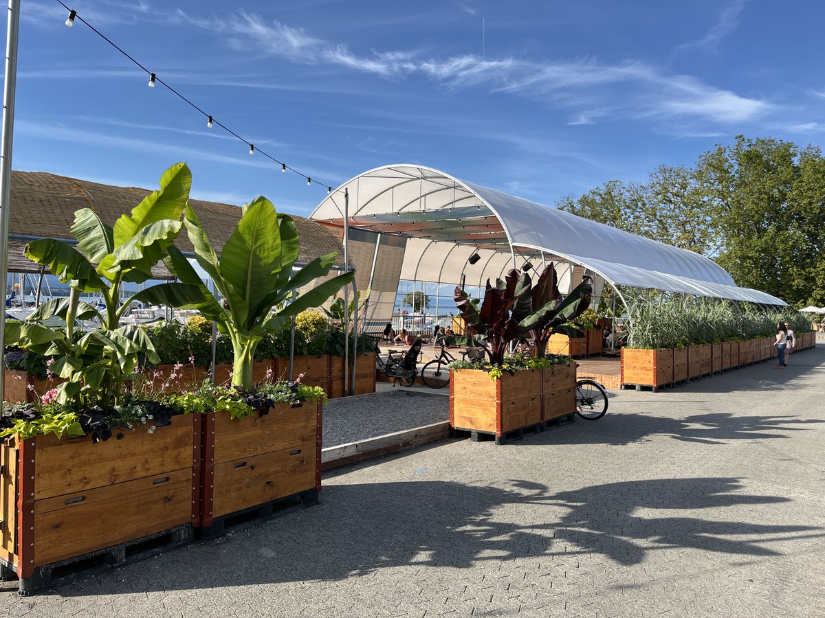 🌟 Appel d'offres pour un foodtruck à la Canopée 🌟
La Ville de Genève met à disposition un emplacement permettant l'exploitation d'un foodtruck du 26 mai au 17 août 2025 au Quai Gustave-Ador à proximité directe de la Canopée. 👉 bit.ly/4aRJs5k