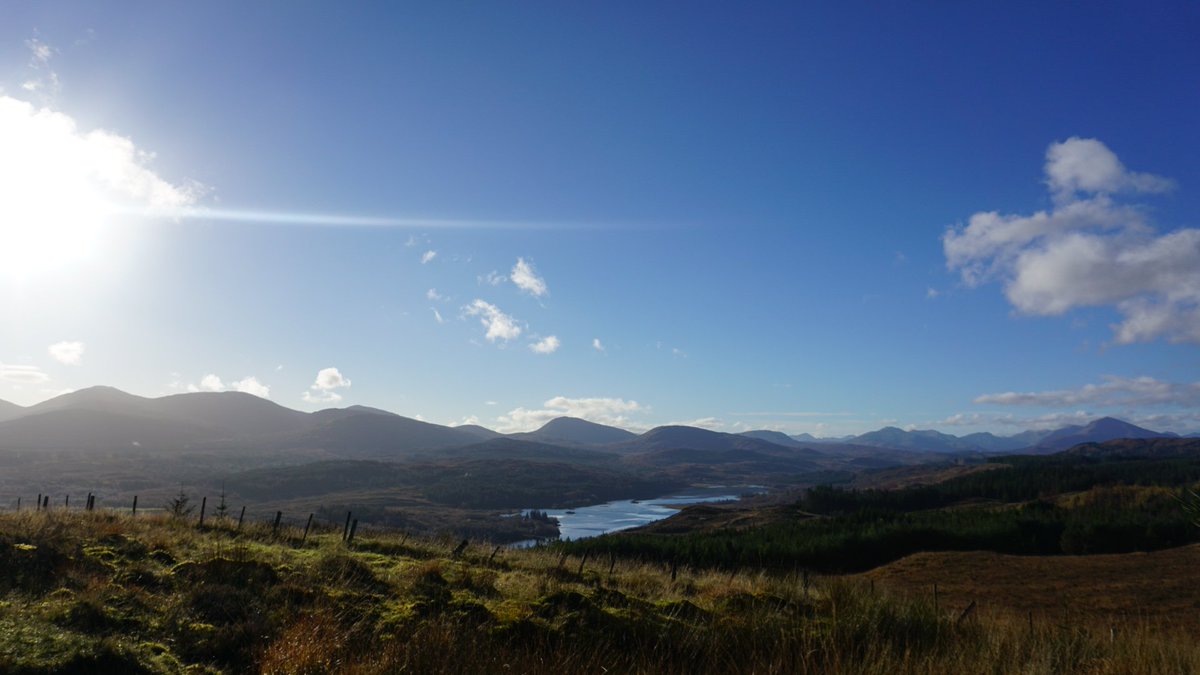 Bobo ♱🏴󠁧󠁢󠁳󠁣󠁴󠁿 (@bobolionheart) on Twitter photo 