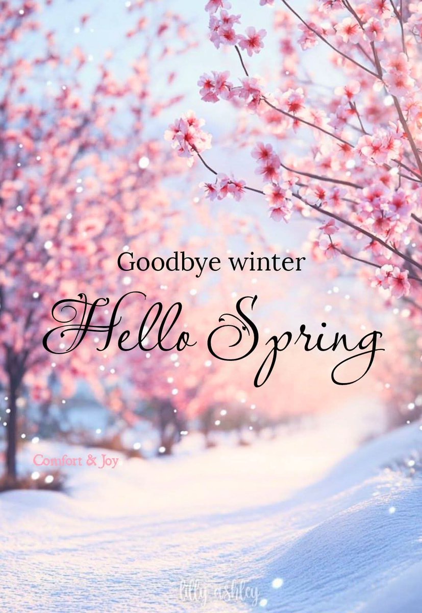 Kim Sheldrick (@sheldrickkim) on Twitter photo 