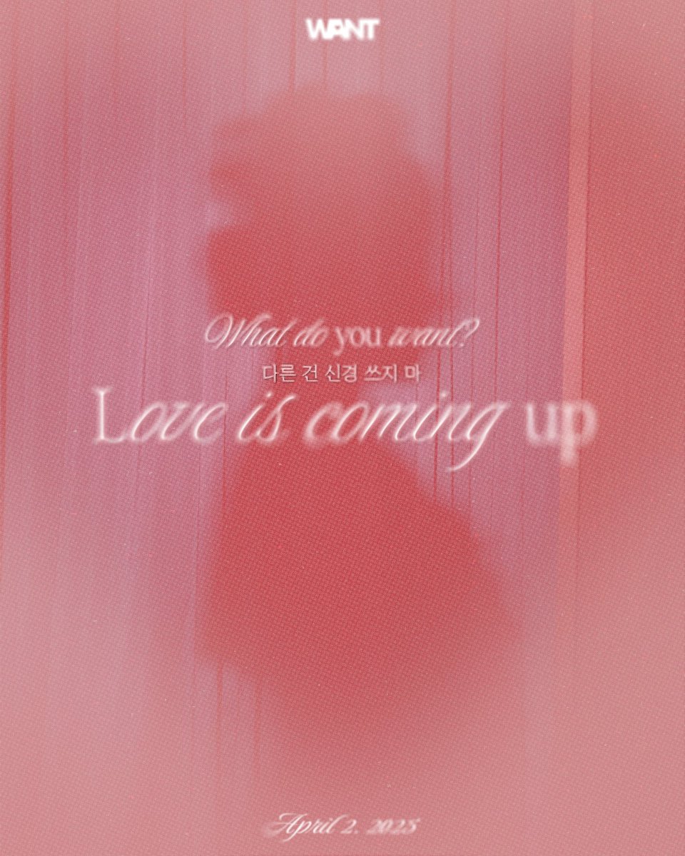 솔라 WANT 미공포 정리 타래