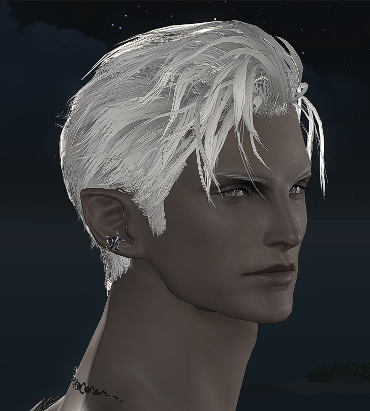saw this hair on XMA and need to instantly port it for him 🫡