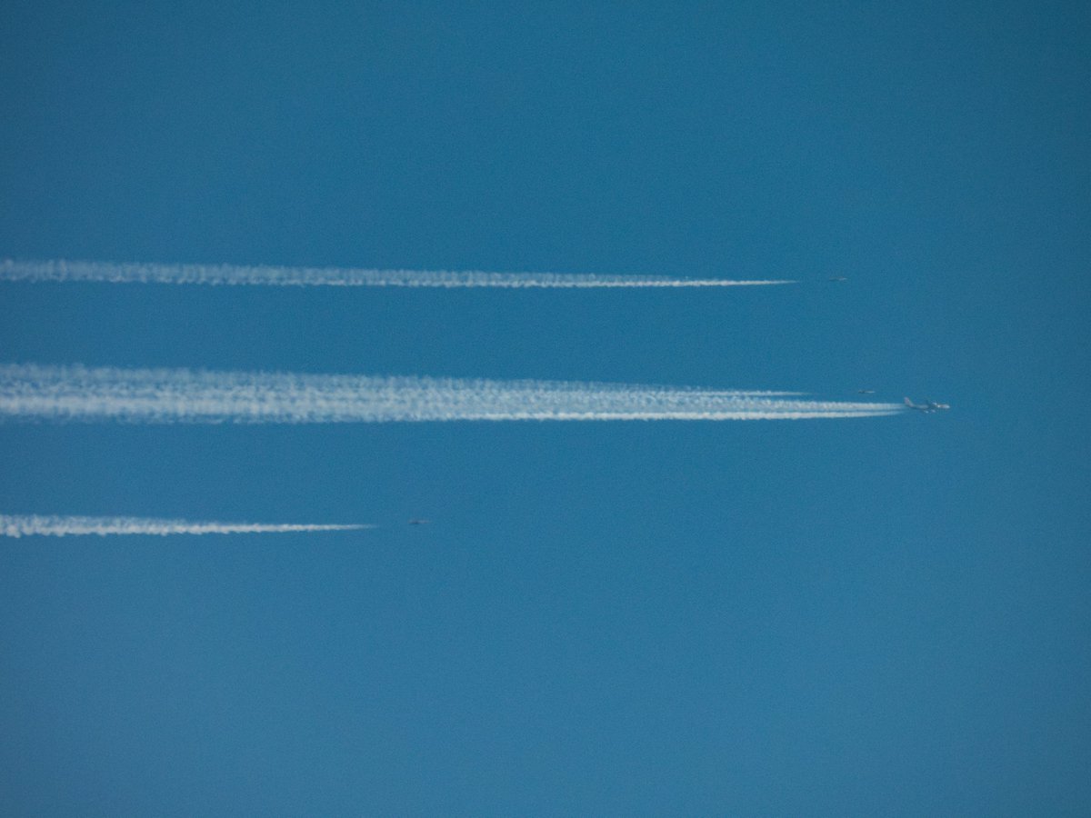 DLNetherlands's tweet photo. HOBO10 
United States Air Force
58-1511🇺🇸 #AE0502

Wow! Dragging Axe 01 (F35's) and Bolar 31/33 (F-15's) overhead the Netherlands this morning 😍😍

#NLspot #HOBO10 #USAF #military #P950 #Nikon #avgeek #aviation #planespotting #bolar #axe https://t.co/KzaJMjqYD4