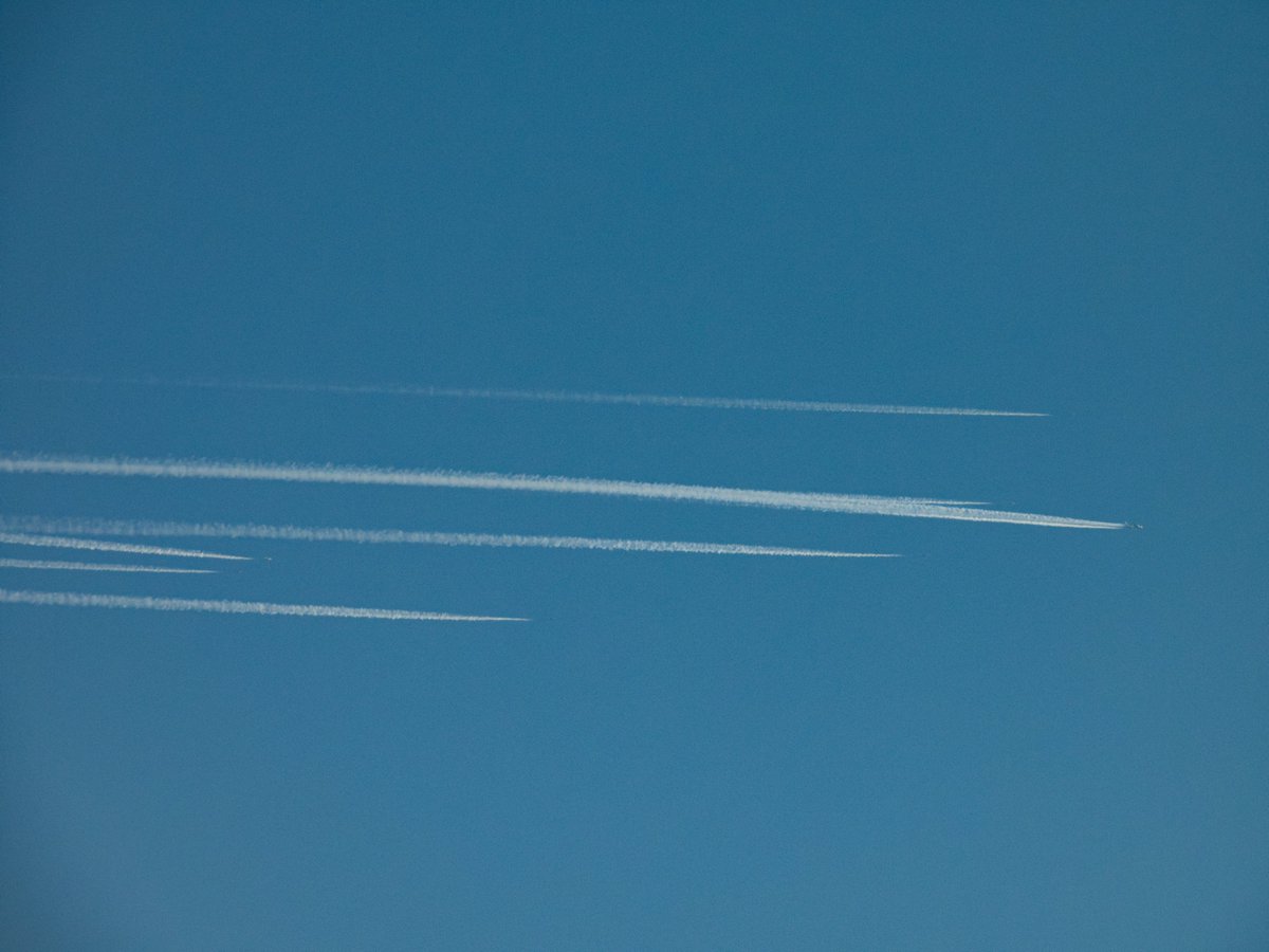 DLNetherlands's tweet photo. HOBO10 
United States Air Force
58-1511🇺🇸 #AE0502

Wow! Dragging Axe 01 (F35's) and Bolar 31/33 (F-15's) overhead the Netherlands this morning 😍😍

#NLspot #HOBO10 #USAF #military #P950 #Nikon #avgeek #aviation #planespotting #bolar #axe https://t.co/KzaJMjqYD4