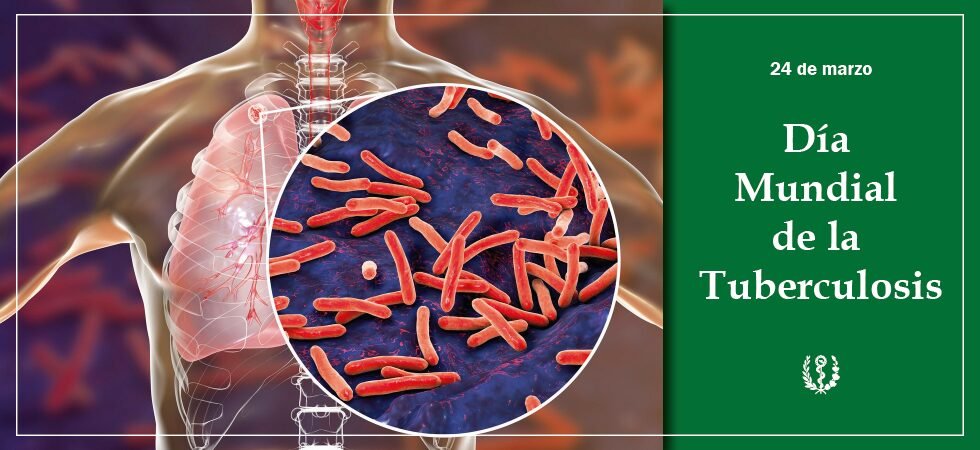Tüberkülozun önlenmesi ve kontrolüne yönelik kapsamlı strateji: Küba'daki Ulusal Halk Sağlığı Sistemi için bir öncelik
24 Mart, Dünya Sağlık Örgütü'nün (WHO) en eski ve en ölümcül bulaşıcı hastalıklardan birine karşı farkındalığı artırmak ve kaynakları harekete geçirmek amacıyla
