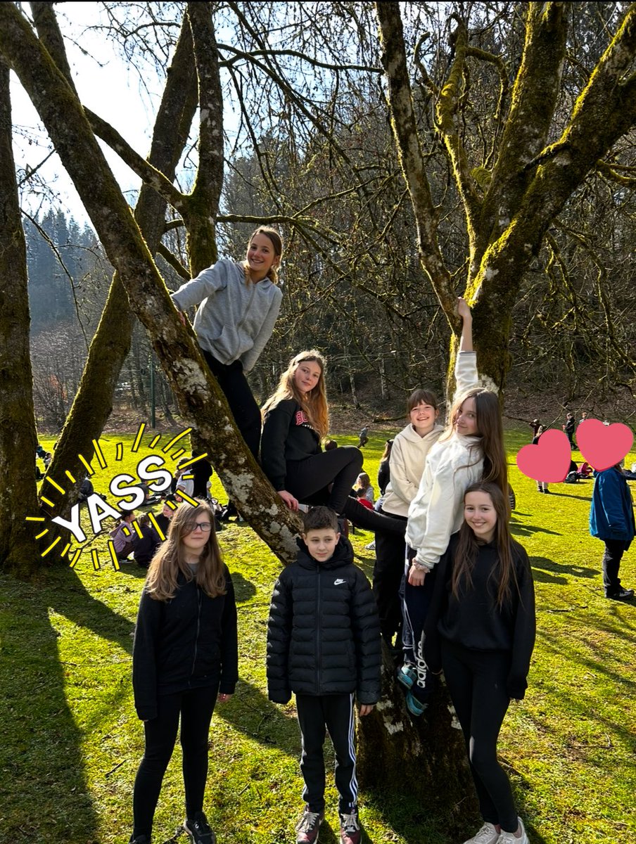 Mrs Kilpatrick (@kilpatrickdonna) on Twitter photo We had the best day yesterday! So incredibly proud of every one of my P7’s! Giving it there all - trying every activity, meeting other P7’s in our cluster, trying new foods and just being AMAZING!!! <a href="/WhitecrossPS/">Whitecross PS</a> <a href="/MrsThomsonWPS/">Emma Thomson</a> We had the best day yesterday! So incredibly proud of every one of my P7’s! Giving it there all - trying every activity, meeting other P7’s in our cluster, trying new foods and just being AMAZING!!! <a href="/WhitecrossPS/">Whitecross PS</a> <a href="/MrsThomsonWPS/">Emma Thomson</a>
