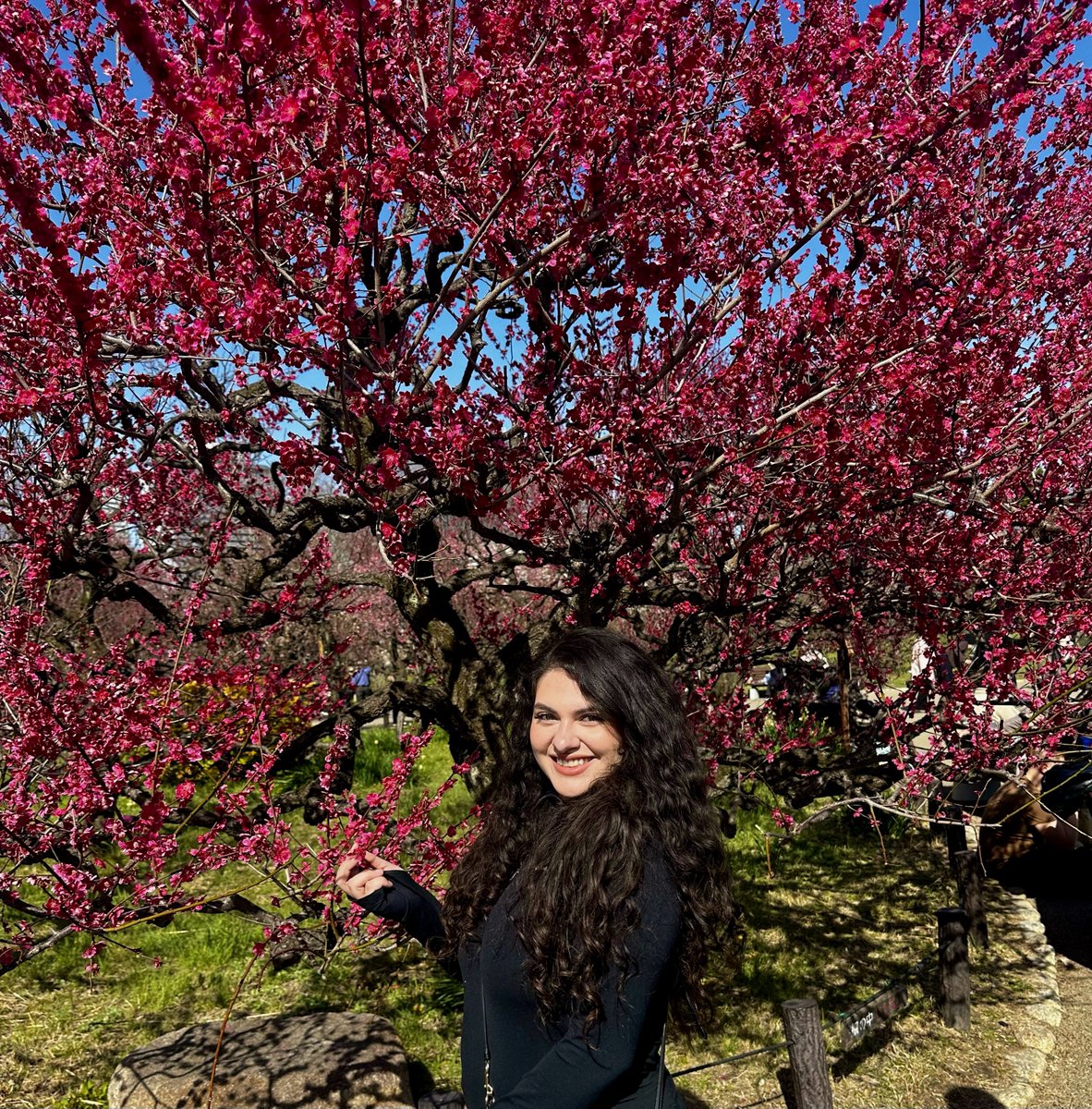 Japan is the best for traders 🇯🇵❤️🌸