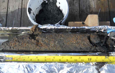 Irinainfos's tweet photo. 🌍 Sediment Sampling: A Hidden Hero for Environmental Sustainability! 🌊
✅ Detect pollutants 🏭
✅ Protect aquatic life 🐠
✅ Monitor climate impacts 🔄
✅ Ensure clean water 💧
Small samples, BIG impact! 🌱💙 #WaterQuality #EnvironmentalSustainability #ClimateAction #Sediment https://t.co/LEN80cClUI