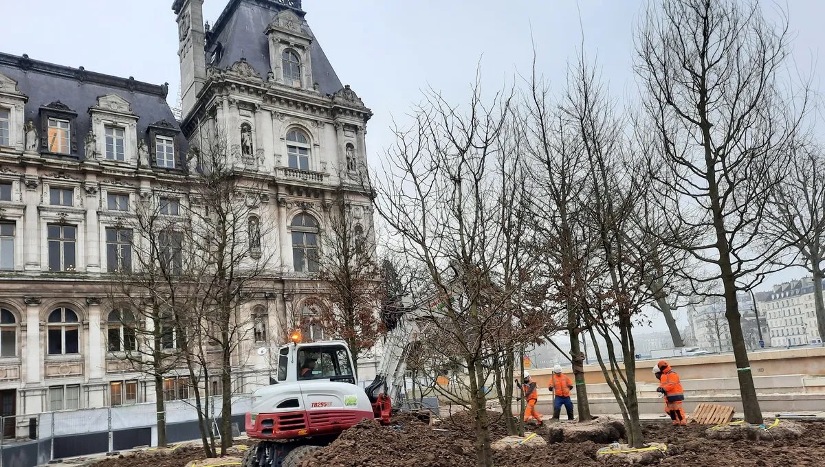 matflamm's tweet image. Hier die entsprechenden Fotos…
150 Bäume &amp;amp; 20.000 Sträucher: Place de l’Hôtel de Ville!
1977  🆚  2025