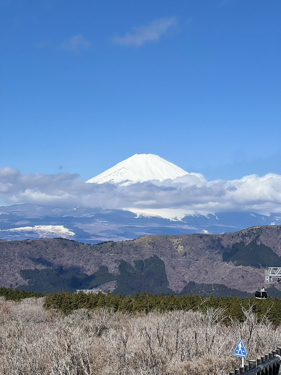 aydn_vt's tweet photo. ssrb + hakone ＼＼\\٩( 'ω' )و //／／🩶 #しし論 #SSRB https://t.co/Y9hLzr6ECO