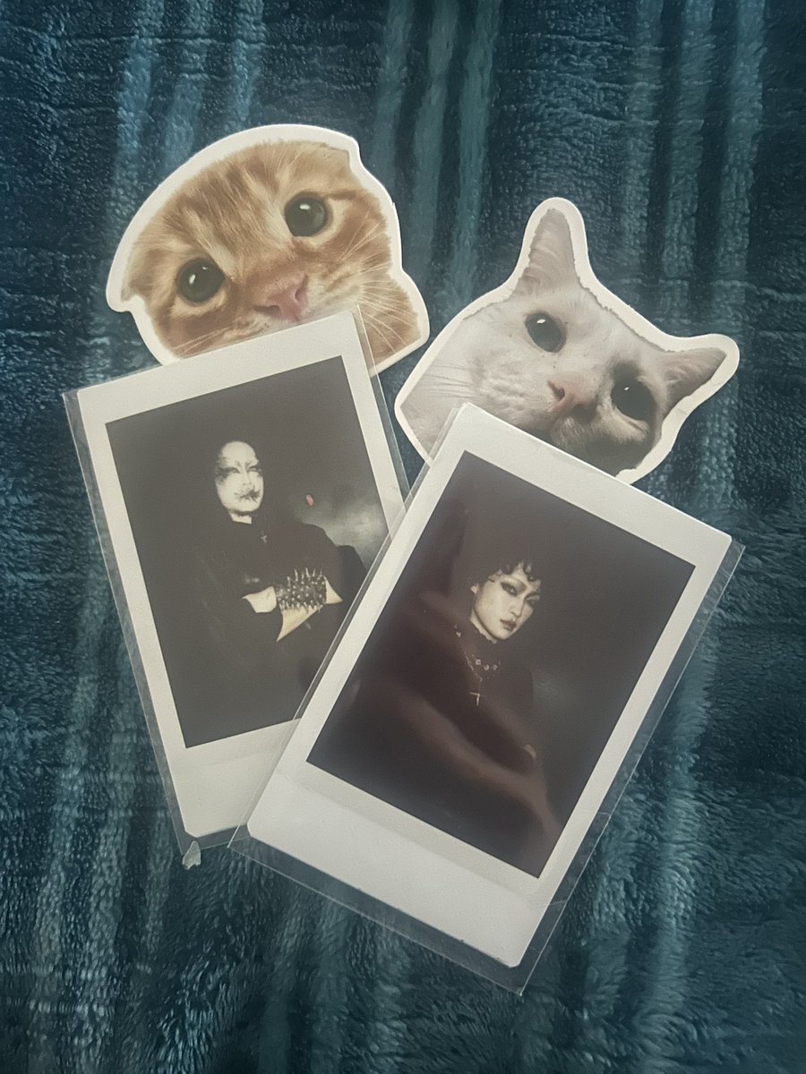 Absolutedrkness's tweet photo. Somyul and Juho are finally mine !! Thank you @Mi_o_o_fficial for trading with me !! And thank you for all the cute packaging hehehe, so happy we traded together ! https://t.co/6BmJVpfjp3