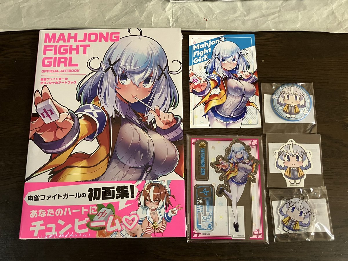 うちにも麻雀ファイトガールアートブック届きました。 人様の届いた