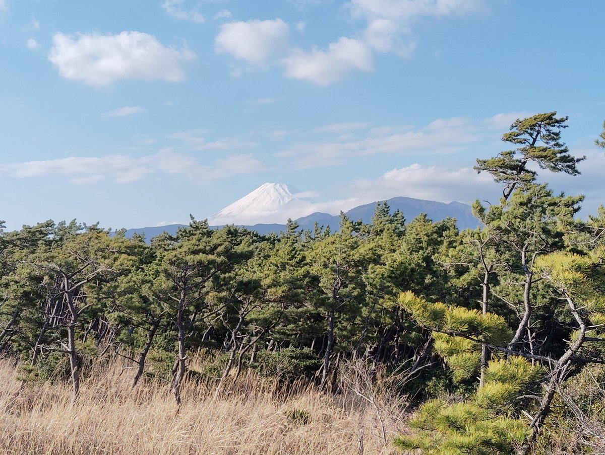 今日の富士山はとっても綺麗！
だけんど西伊豆スカイラインは気温5℃といつもの強風で低体温症になりかけた…
平地は夏、山はまだ冬な春分の日でした