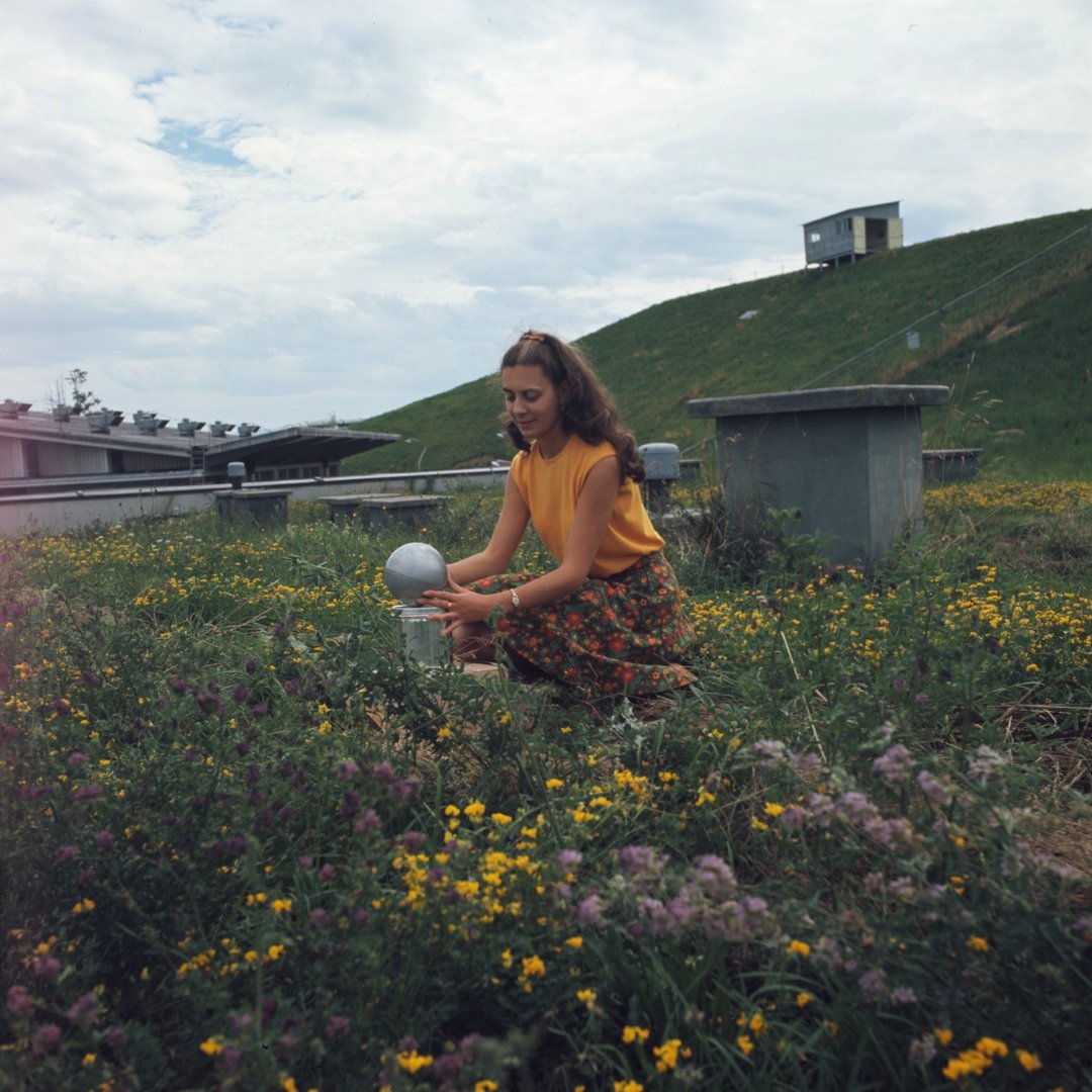 CERN's tweet photo. Spring is just around the corner 💐
This #ThrowbackThursday, we highlight a few unexpected moments during spring #AtCERN:
1️⃣ Neutron dose measurements (1966)
2️⃣ Greenhouse at CERN developed in association with local market gardeners, which studied whether the warm water used by CERN accelerators and experiments could be recycled to heat greenhouses (1983)
3️⃣ Sheep grazing around the CERN premisses in Geneva, Switzerland (1955)
