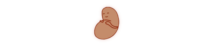 🥔 𝑩𝓪ⓡ🄳 𝗼𝑓 𝐀𝓷𝓪𝘳𝕔𝙝𝐲 tweet media